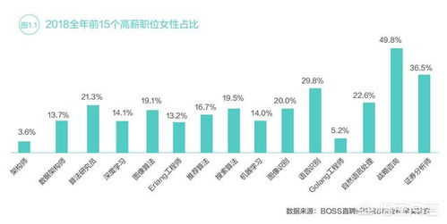 工程計(jì)算、計(jì)算機(jī)科學(xué)與技術(shù)、軟件工程、信息工程及信息技術(shù)咨詢 薪酬對(duì)比與職業(yè)前景分析