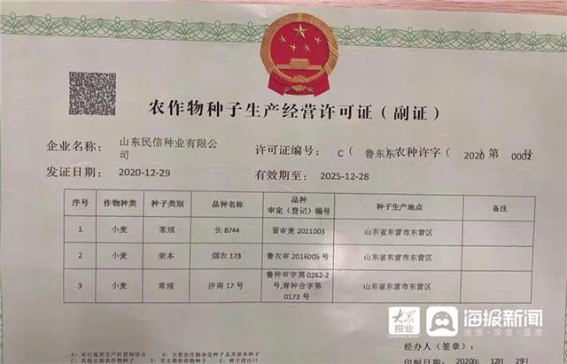 東營區核發首張農作物種子生產經營許可證 規范種業市場，護航農業生產
